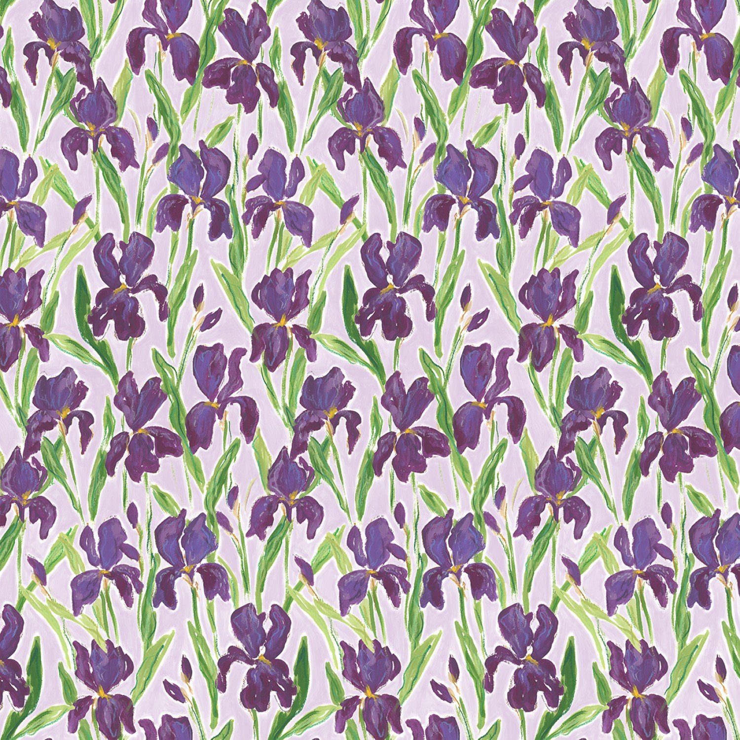Multi Irises
